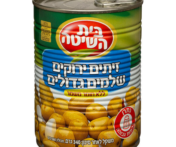 בית השיטה | זית ירוק גדול