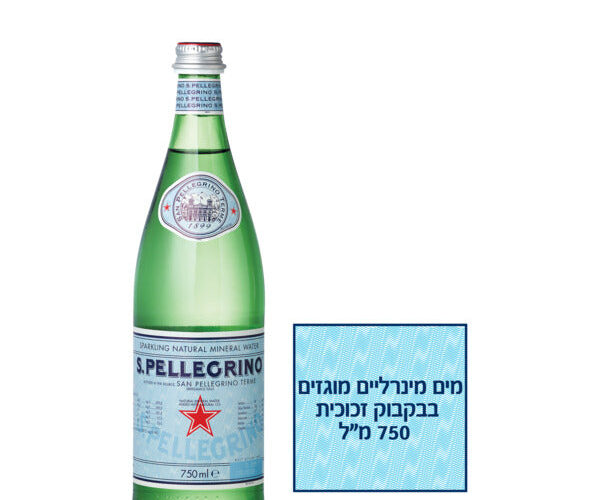סן פלגרינו | מים מינרליים טבעיים מוגזים 750 מ"ל בקבוק זכוכית