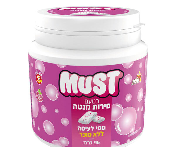 עלית | צנצנת ביג מסטיקים בטעם פירות מנטה לל"ס