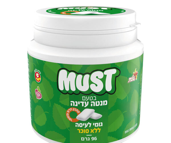 עלית | מאסט ביג מנטה עדינה צ'יקלט