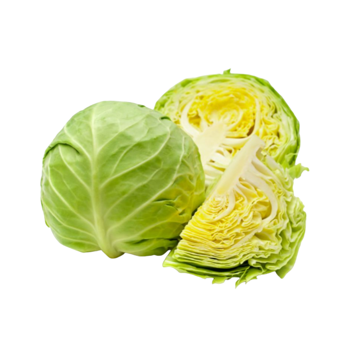 Green Cabbage