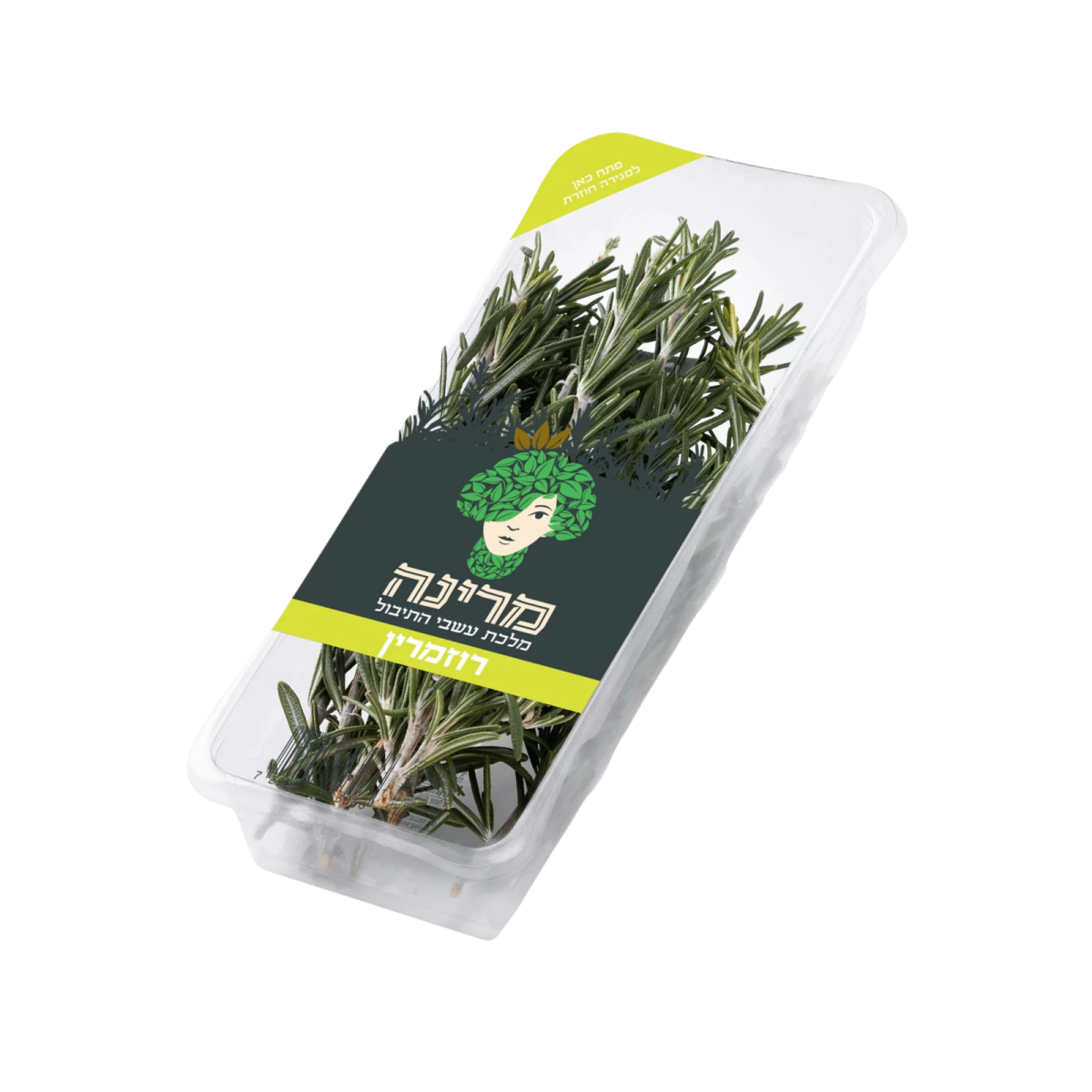 מארז רוזמרין