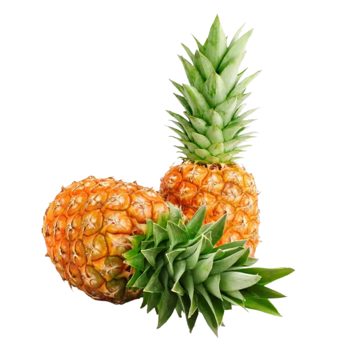 Fresh Pineapple