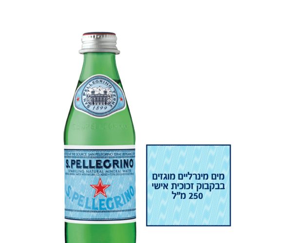 סן פלגרינו | מים מינרליים טבעיים מוגזים 250 מ"ל מארז 6 יחידות